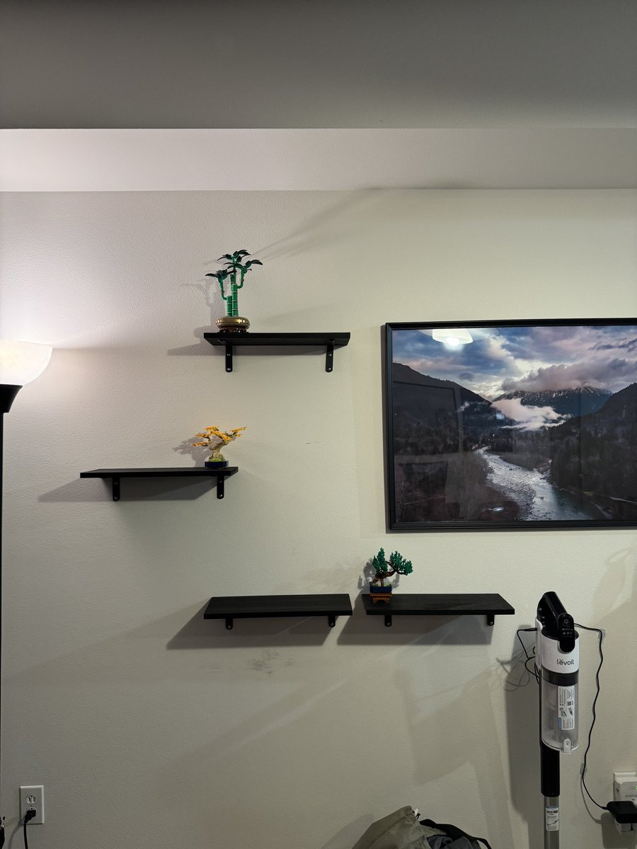 MoltenSlowa's tweet image. New shelves. Lots of potential.