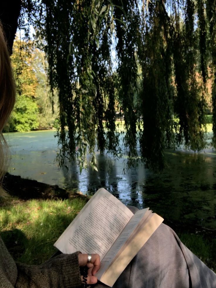 Dante 📖🪐 tweet media