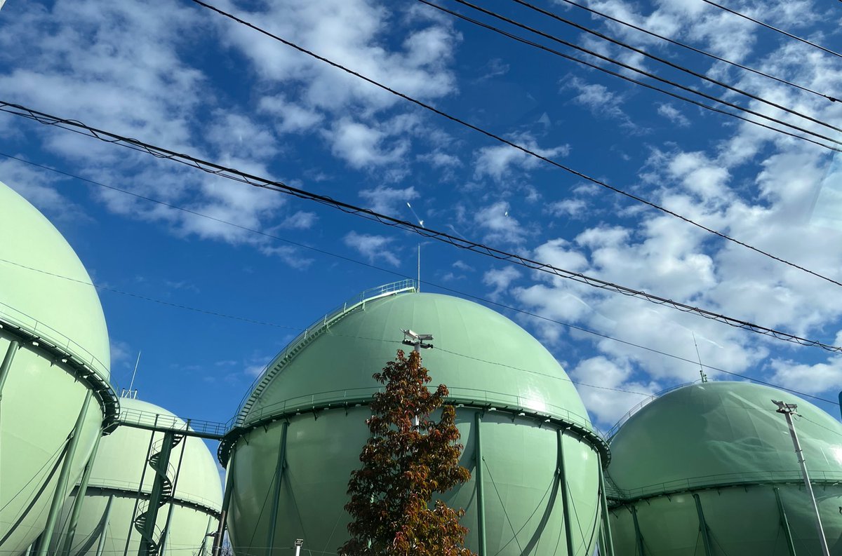 私の好きなものｺﾚ