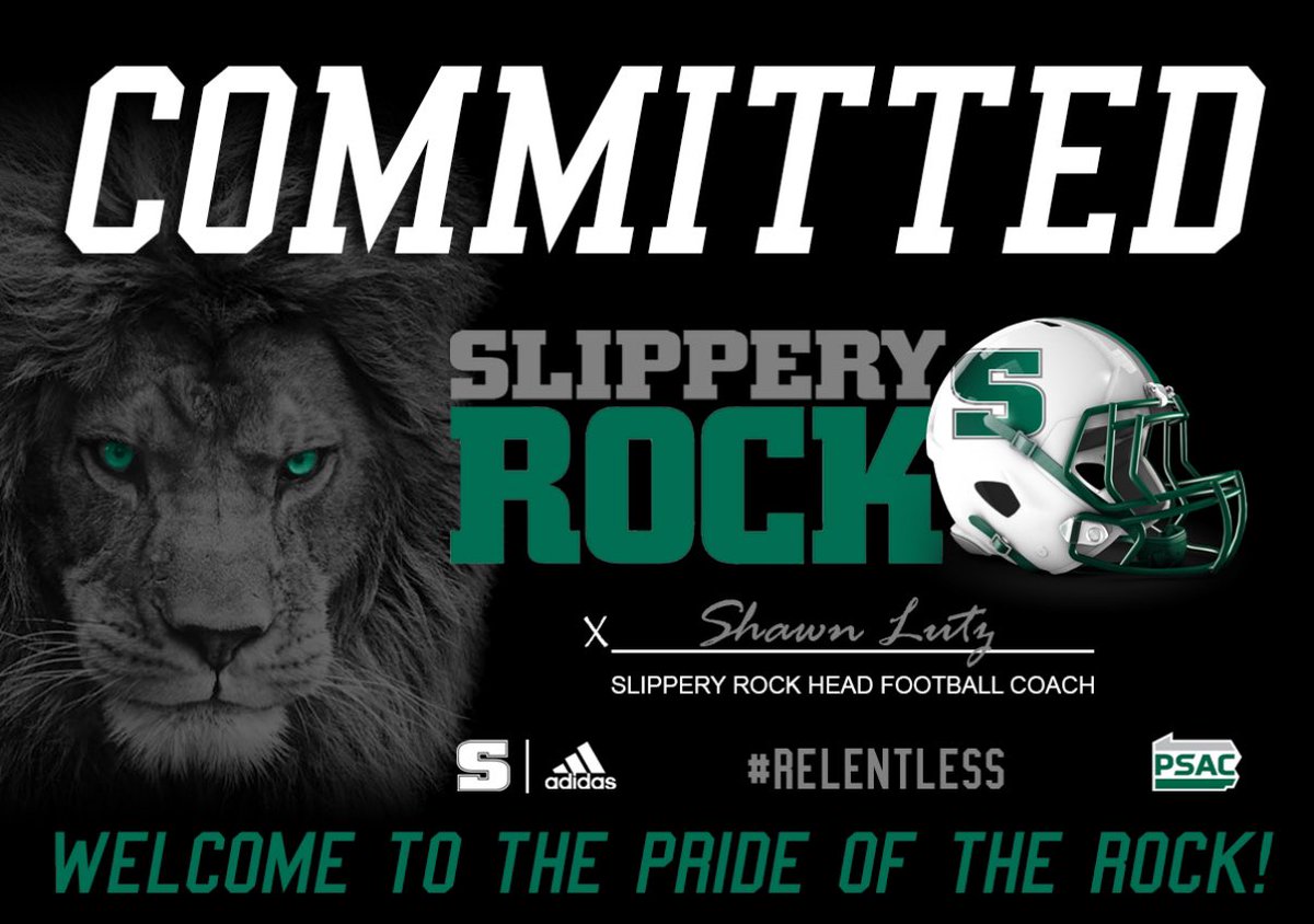 Ethan Campoli tweet media