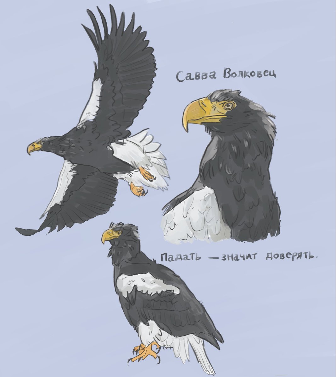 Piedwagt tweet media