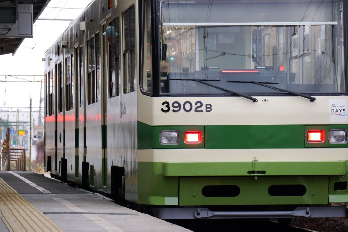 安芸路ししゃも (@shishamo115) / Posts / X