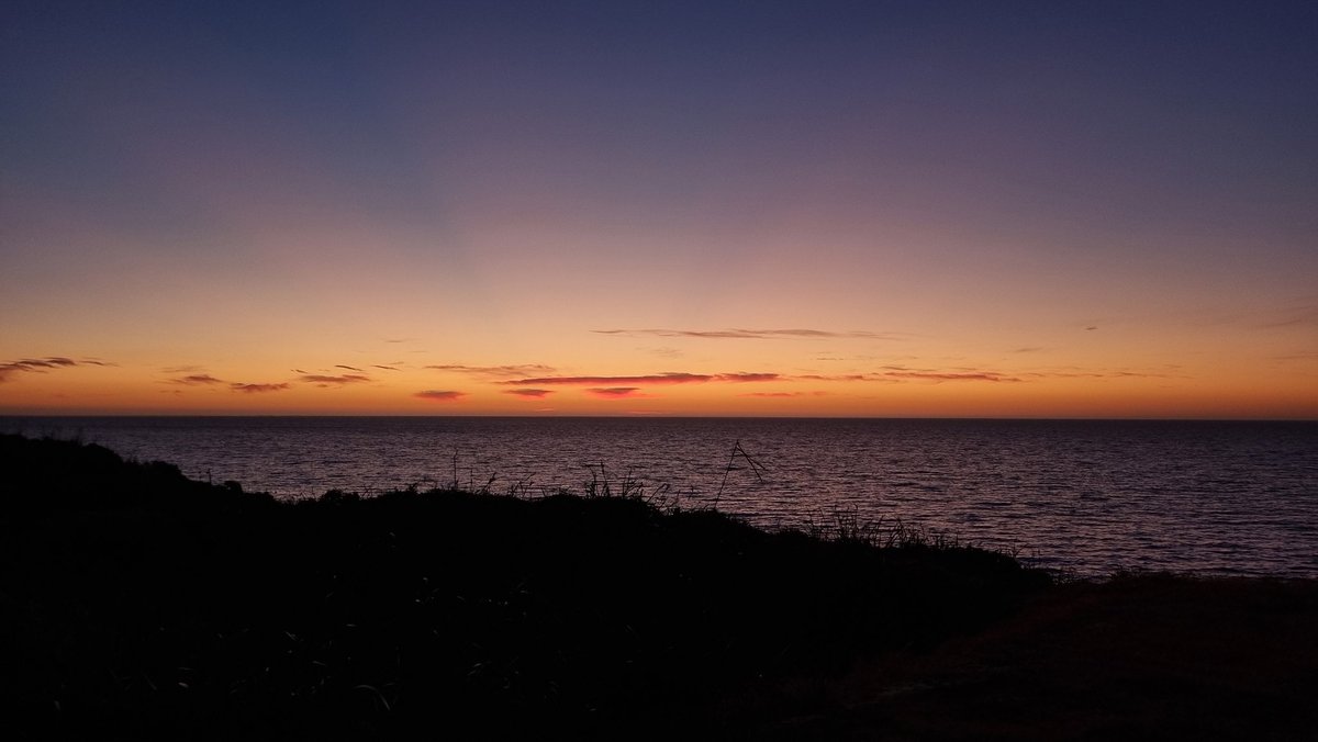 TheOnlyAstro tweet media