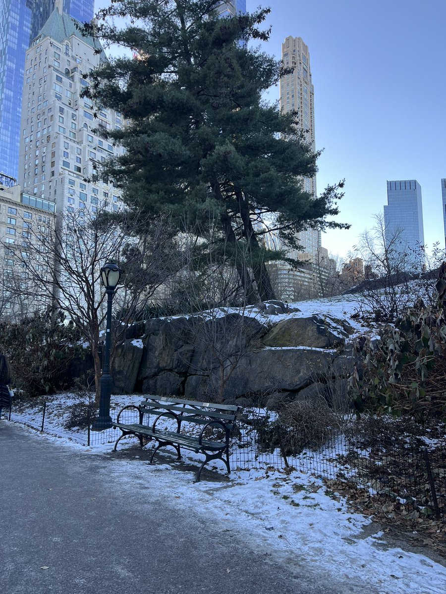 Nunca en mi vida me cagué tanto de frío como hoy en Central Park, Nueva York.