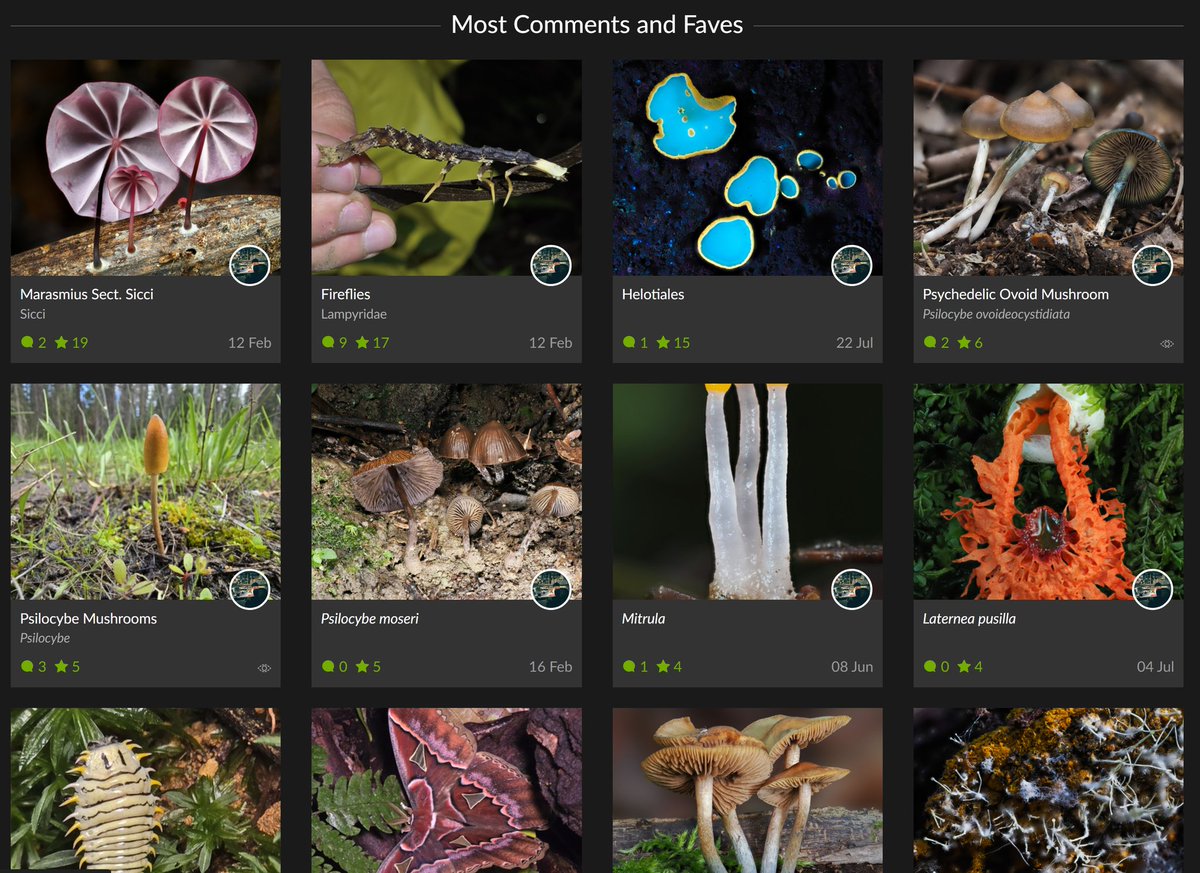 Alan Rockefeller tweet media