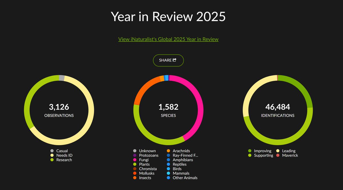 Alan Rockefeller tweet media
