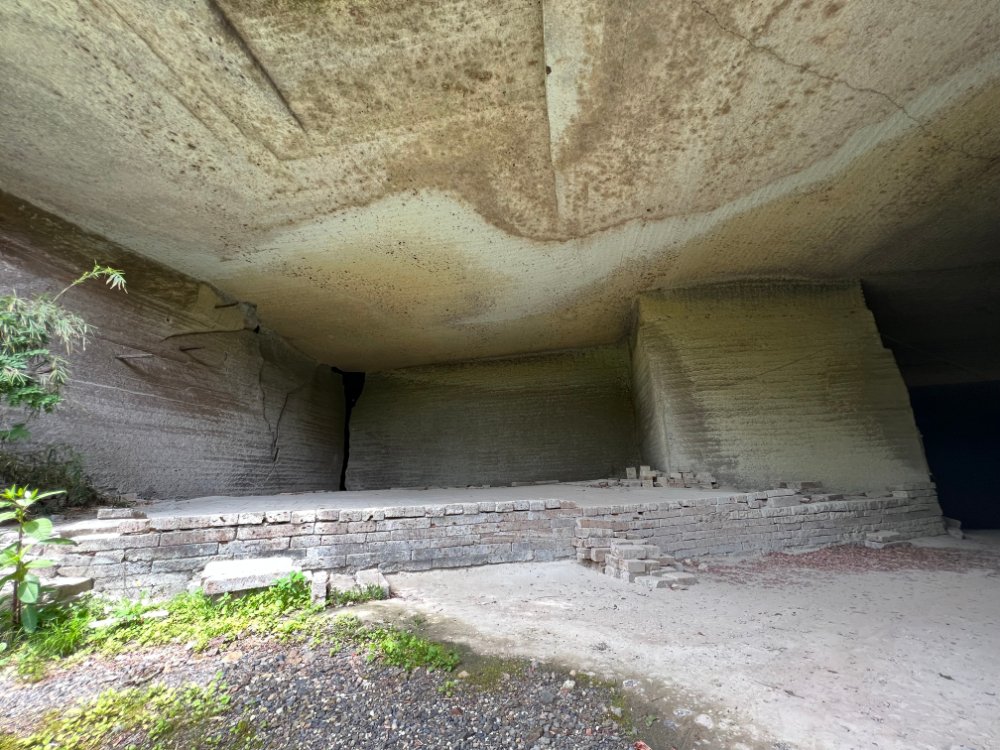 コスナビ tweet media