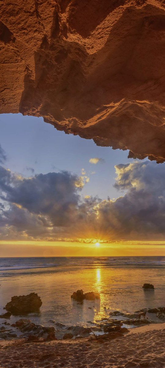 سُنبُلة 🌾 tweet media