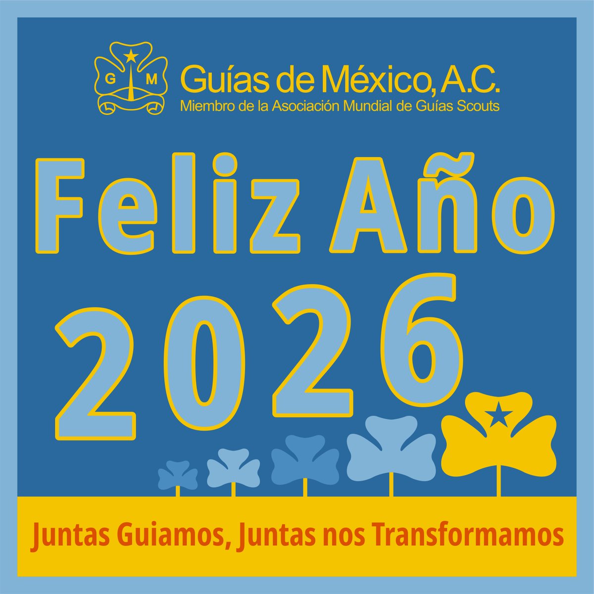 Guías de México A.C. tweet media