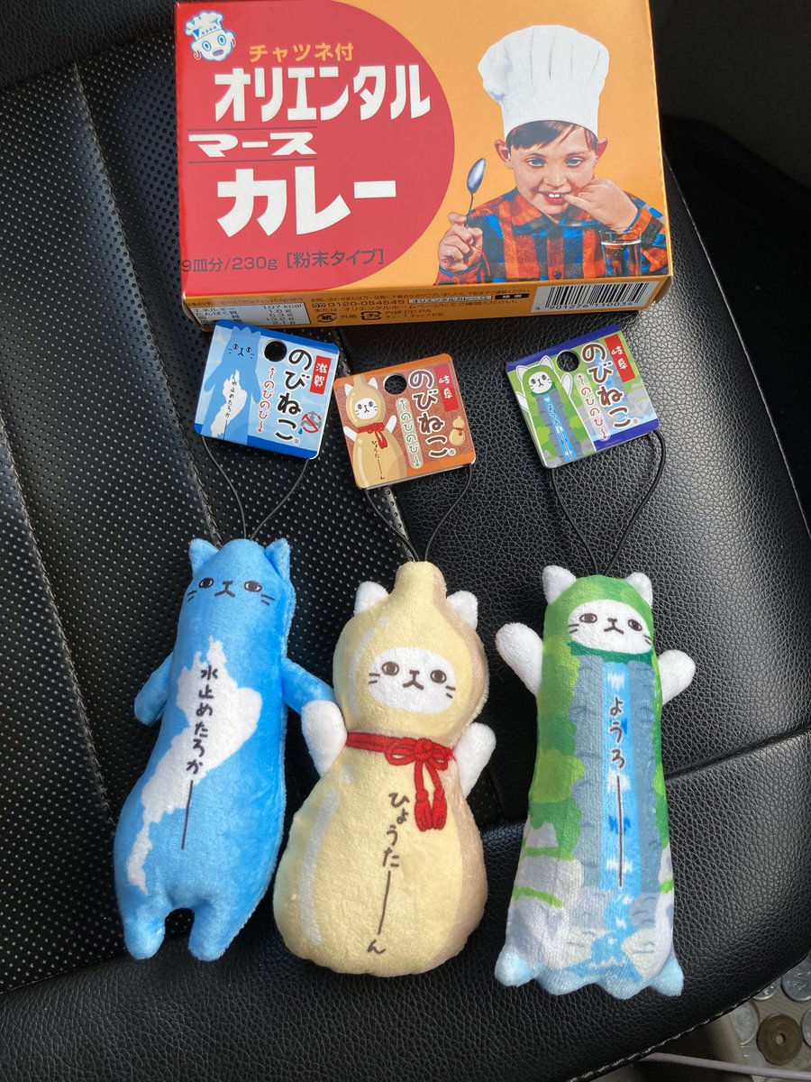 はたけやま2号丸 (@nobinekosagashi) / Posts / X