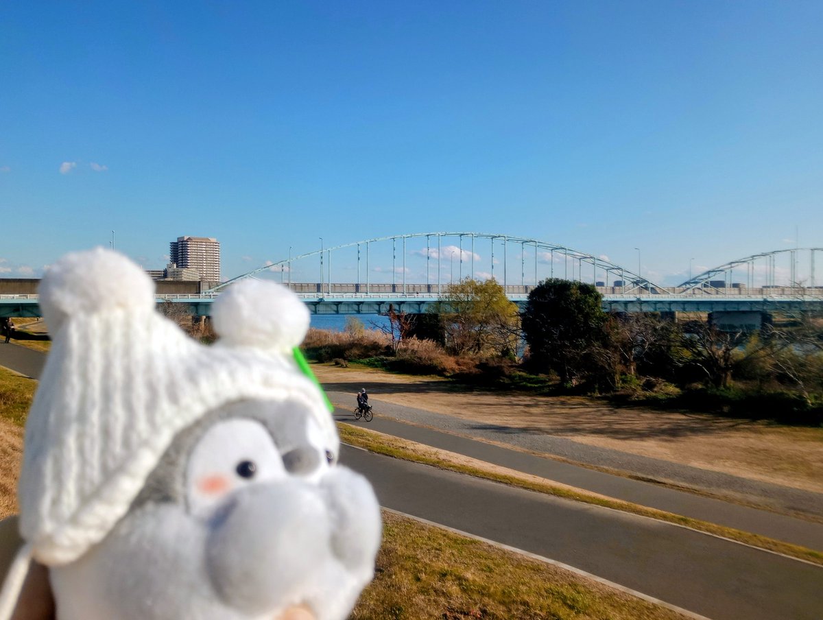 多摩川七福神巡りの途中で、多摩川を望むわた雪コウペンちゃん（初外出）