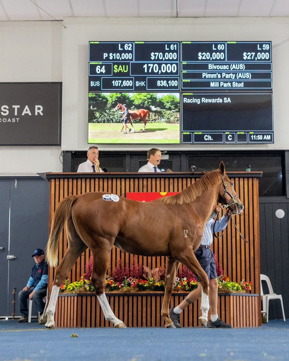 RacingSA's tweet image. Racing SA is pleased to announce an enhancement to the Racing Rewards Bonus scheme to support the breeding community in South Australia.
Read more &amp;gt;&amp;gt; brnw.ch/21wYM99