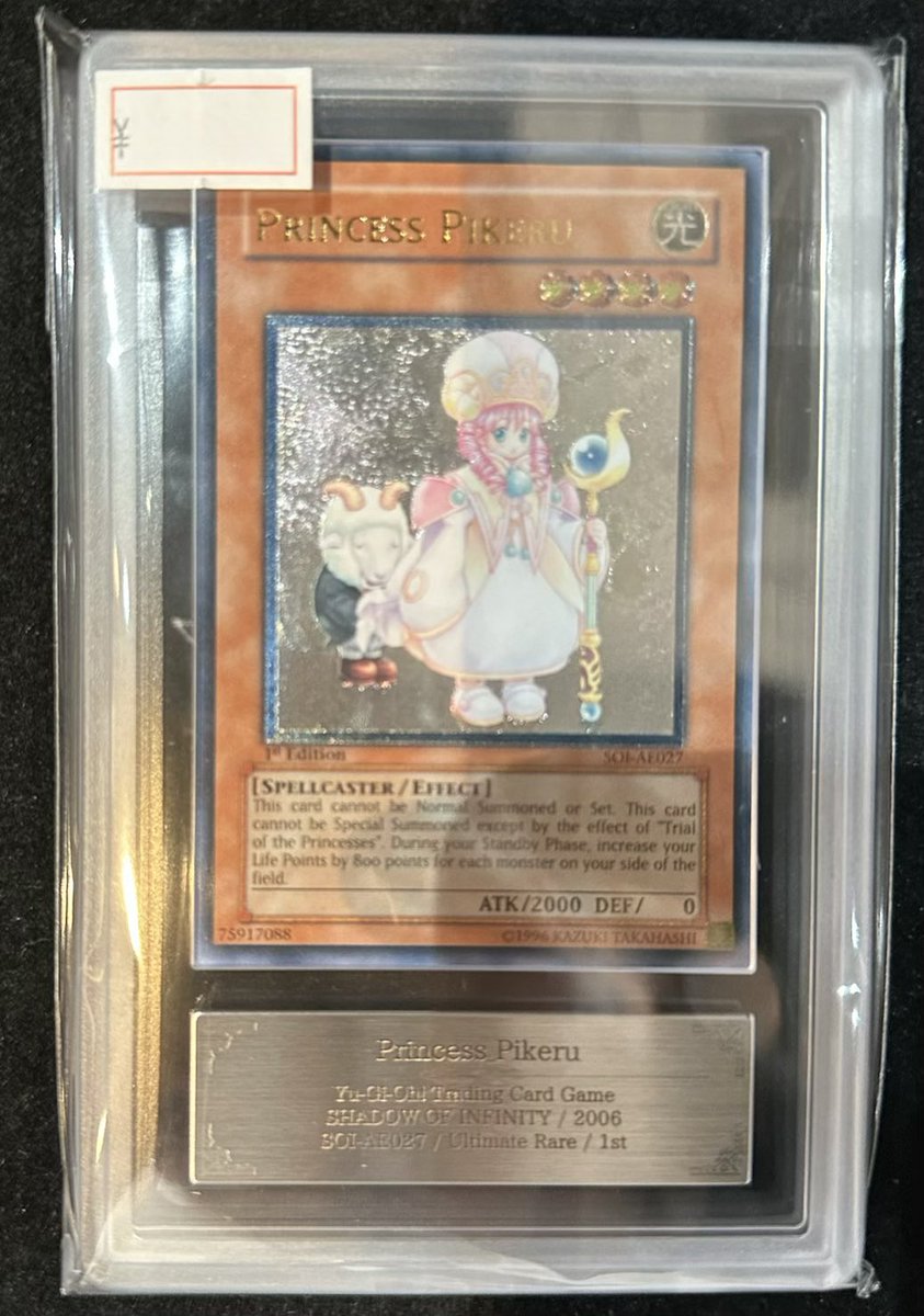 完売情報】 ✨【ARS10】魔法の国の王女ピケル 旧アジア レリーフ