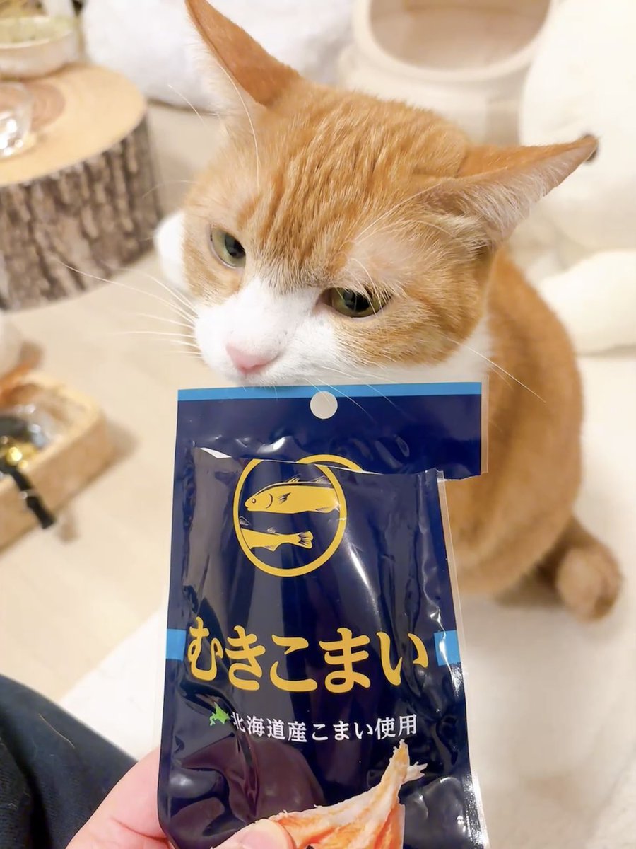 きなこページ 明治 エッセル スーパーカップ＜きなこ＞（明治）2025年3月3日発売