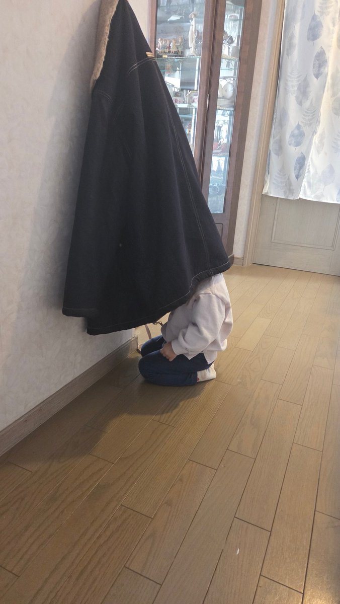kuroneko_toki's tweet photo. ２歳児のかくれんぼって最高だな https://t.co/laPFfYy41A