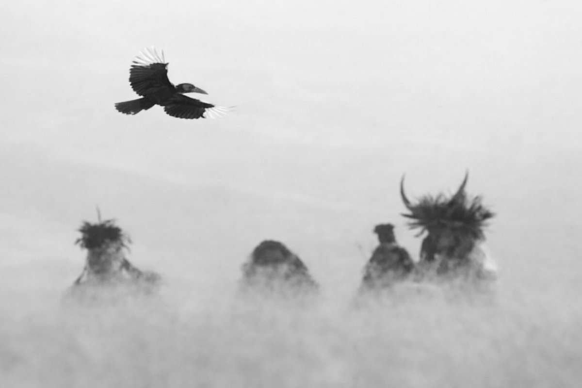 Sabelo ka Lindamkhonto vi tweet media