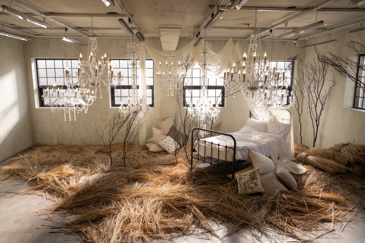 스튜디오 찬란(燦爛) tweet media