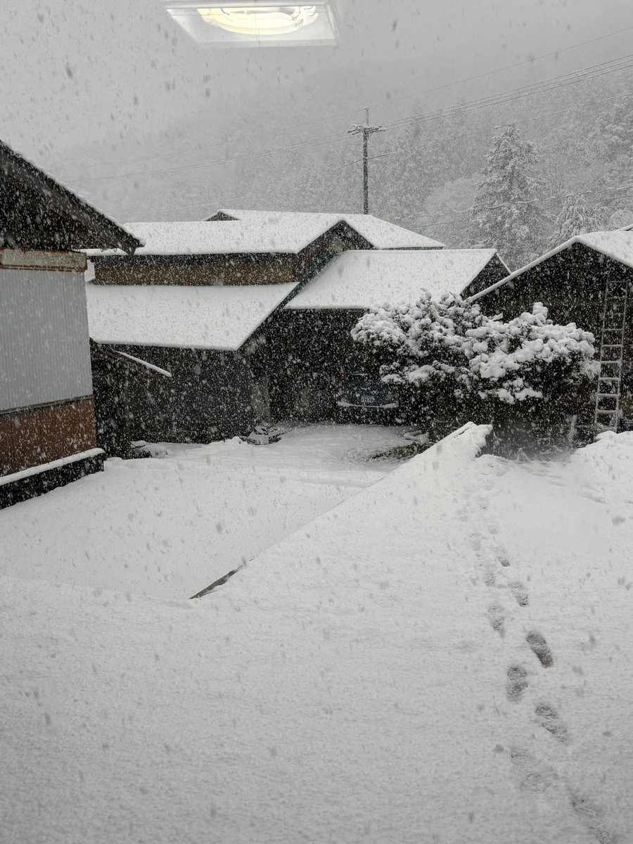 yykrms0319's tweet photo. 雪のお裾分けをしておくよ https://t.co/N8mP9vbDKe