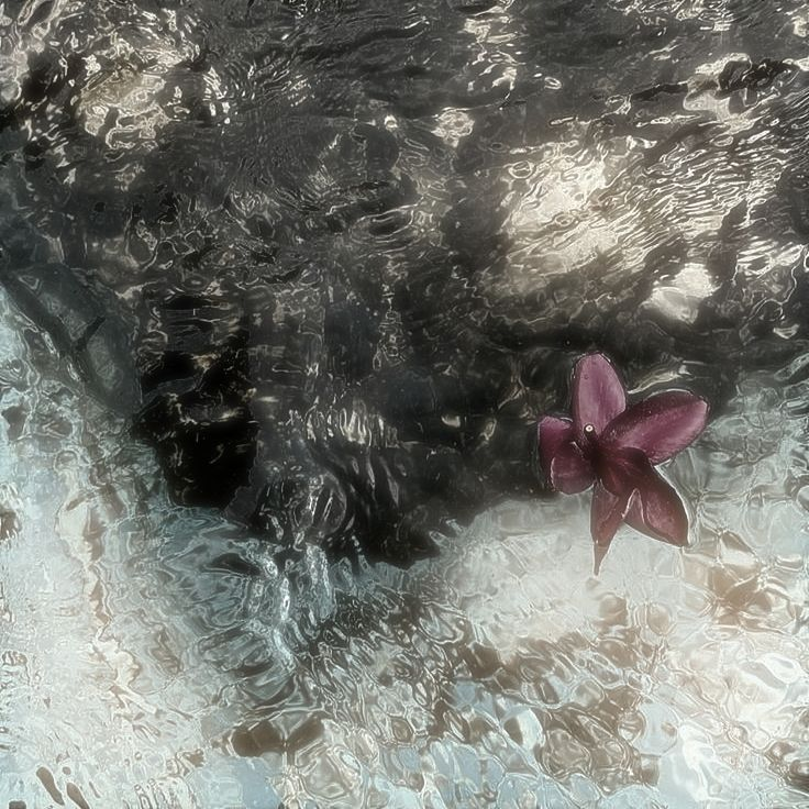 khargosh is dead yoongi killed her tweet media