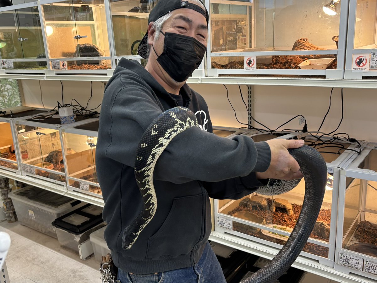 hikotaro爬虫類垢(割れパパ) (@hikotaro171) / Posts and Replies / X