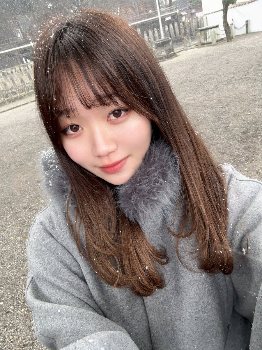 のんちゃん🍪 (@In4aC) / Posts / X