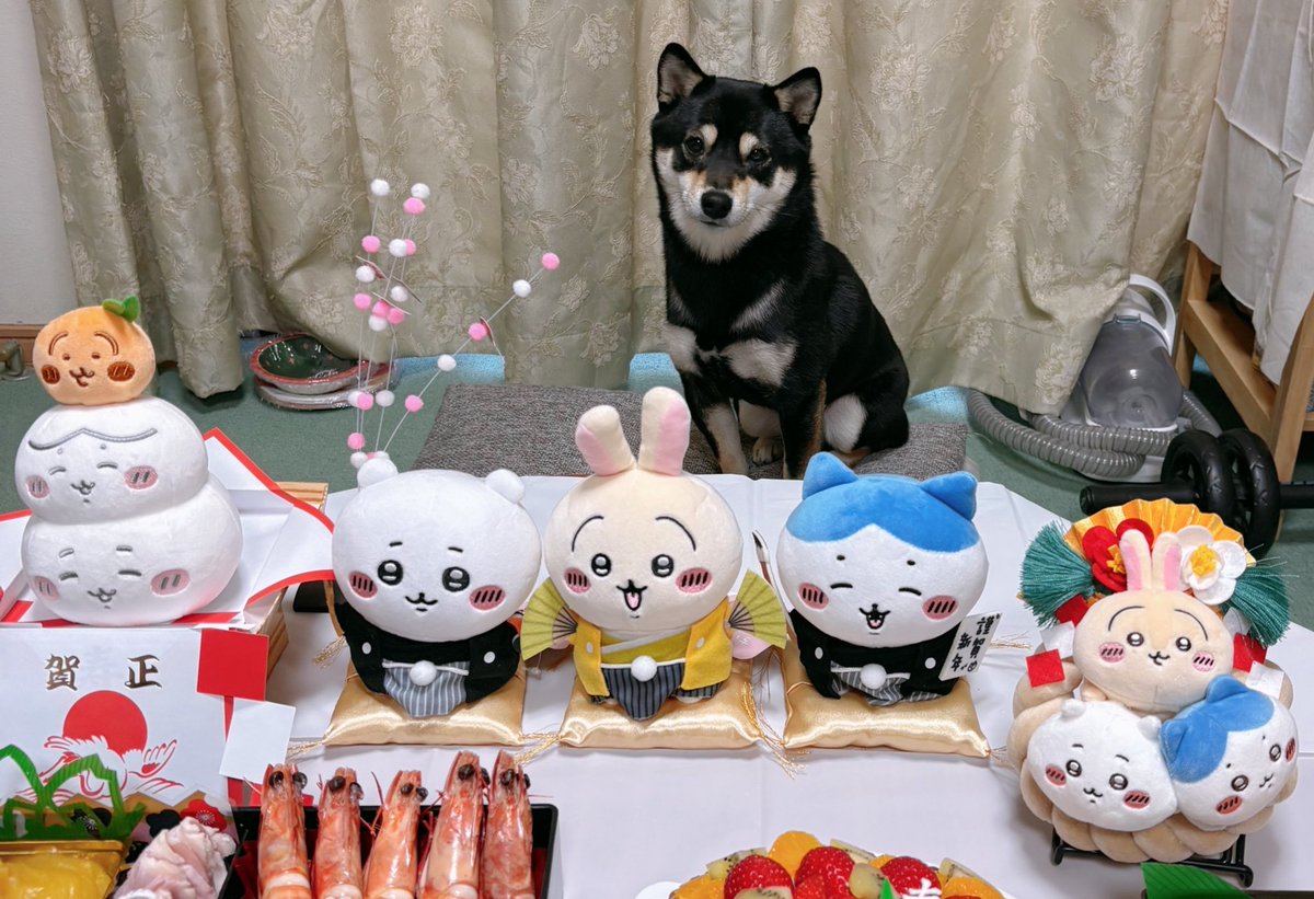thhss29213's tweet photo. 明けましておめでとうございます
今年もよろしくお願いします🙇‍♀️
年越し配信をしてくれて本当に助かりました🙏夜中までずーっと台所で作業してたけど楽しく作業出来ました😁 https://t.co/7G6ebMs20C