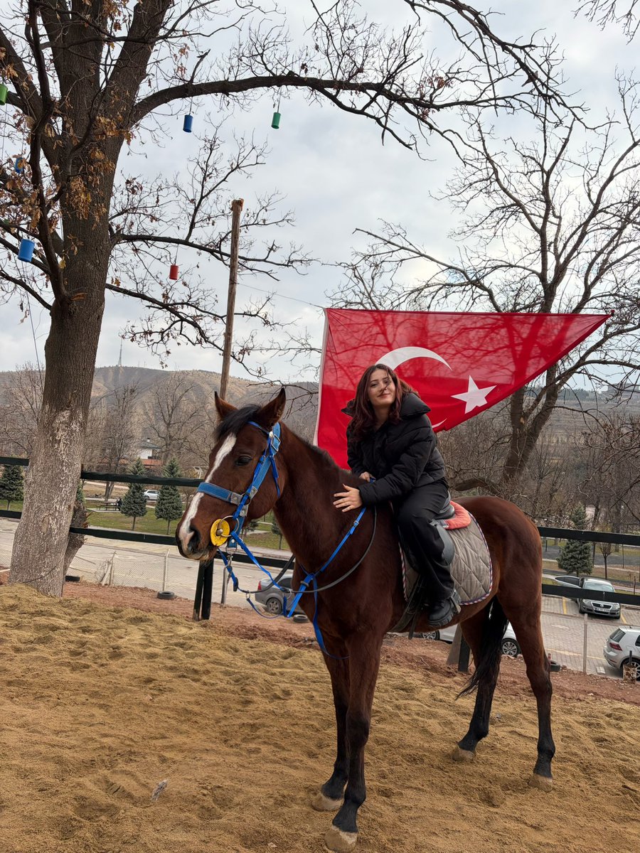 yrgn000's tweet photo. At ın üstünde ki Türk değilse yüktür❤️🇹🇷 https://t.co/owIgxIPjer