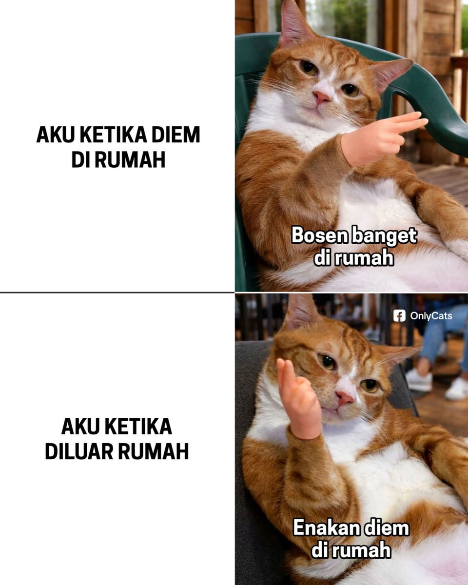 Anu tweet media