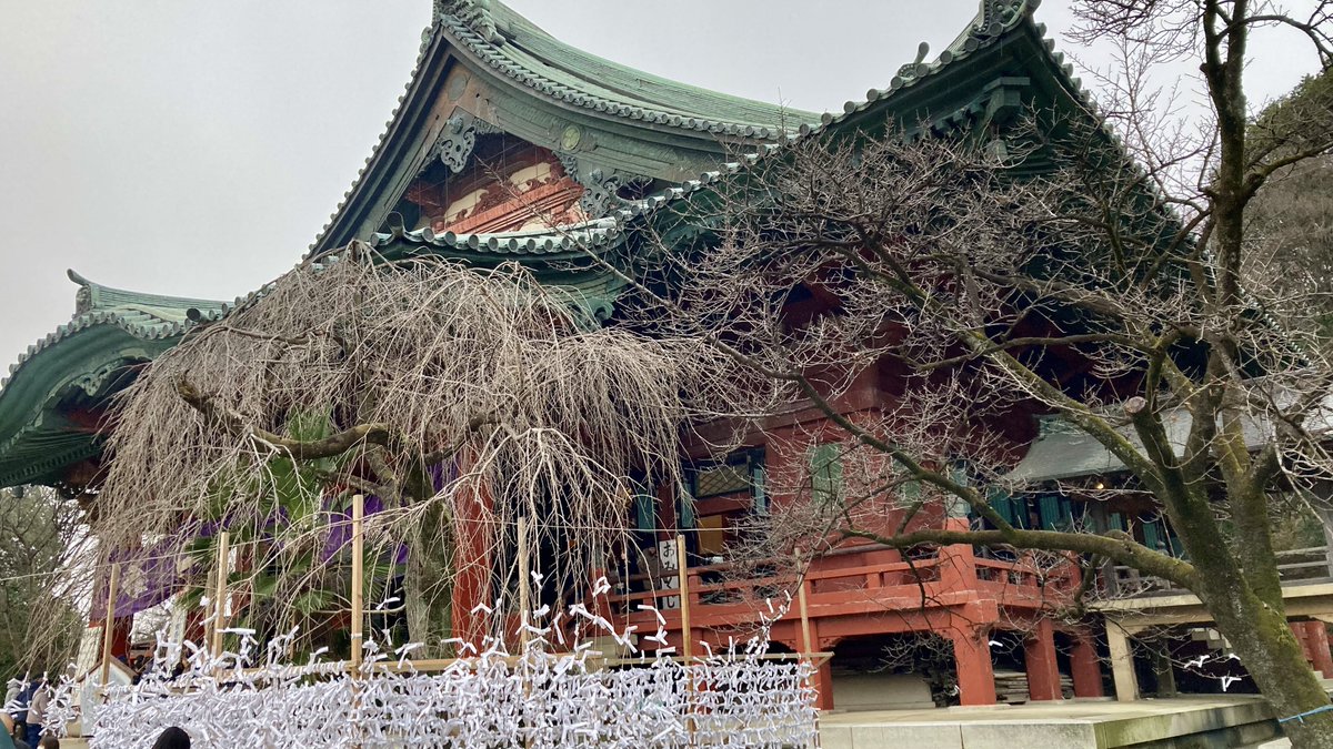 Post by IchitoZero on X: 大吉ィィ