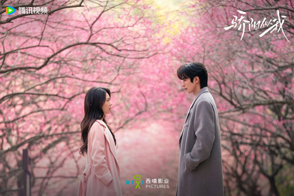 baihuasha_'s tweet image. cherry blossom confessions 

#thebestthing #shineonme