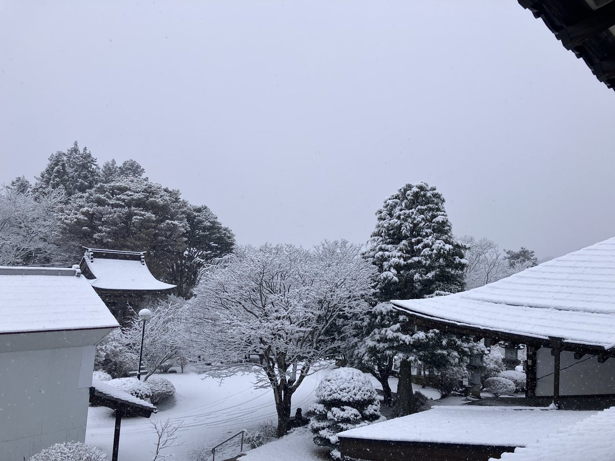 sclwrk's tweet photo. とても寒い https://t.co/S0LfmjpHIu