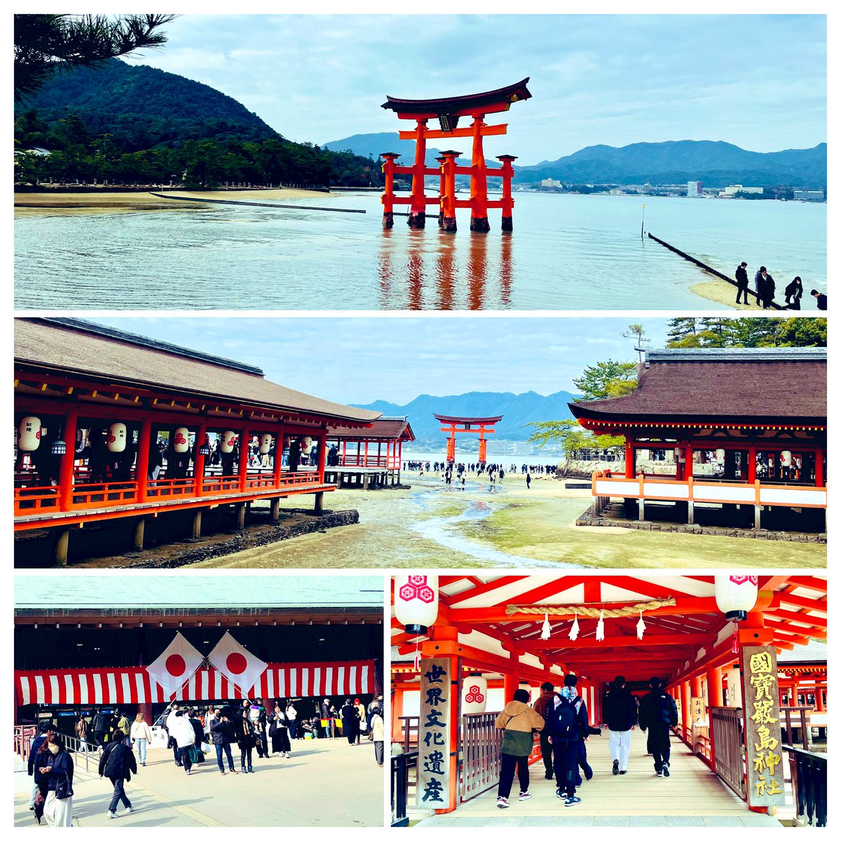 🎍𝟸𝟶𝟸𝟼 ᥫ᭡.°⸜(* ॑꒳ ॑*)* ॑꒳ ॑*)⸝ᥫ᭡.° あけまして