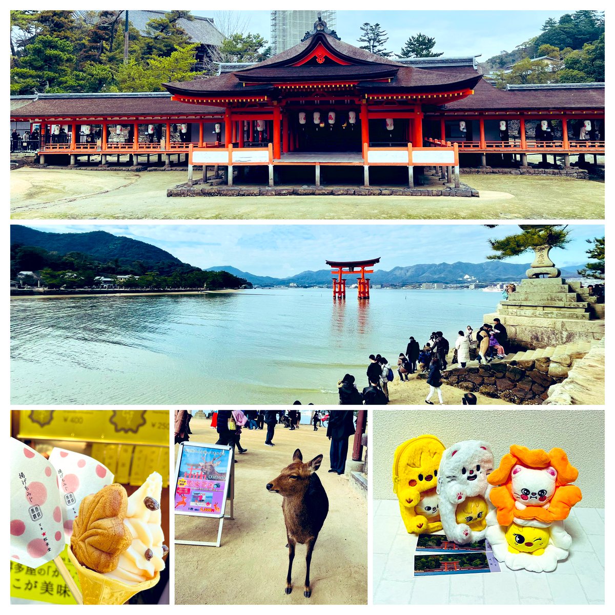 🎍𝟸𝟶𝟸𝟼 ᥫ᭡.°⸜(* ॑꒳ ॑*)* ॑꒳ ॑*)⸝ᥫ᭡.° あけまして