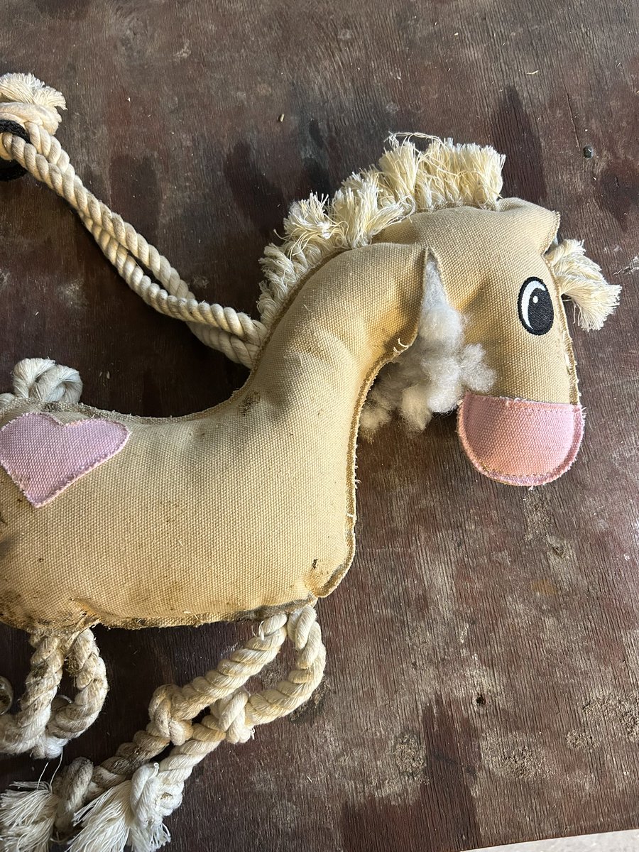 jblomander's tweet image. Clark ville uppenbarligen inte ha en kompis