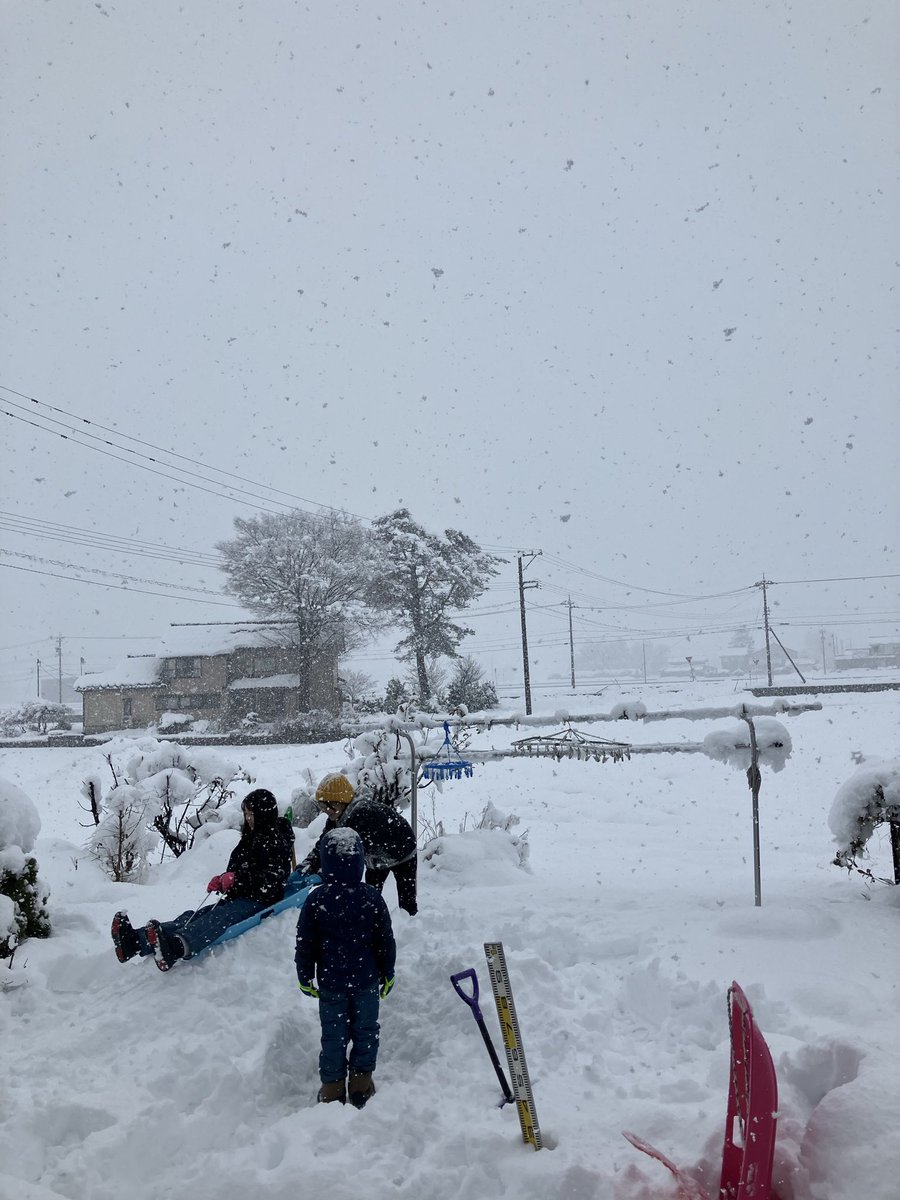morequest's tweet photo. 一晩でめっちゃ積もった☃️

🍶苗加屋 冬の純吟 https://t.co/Zb3o5bGqgw