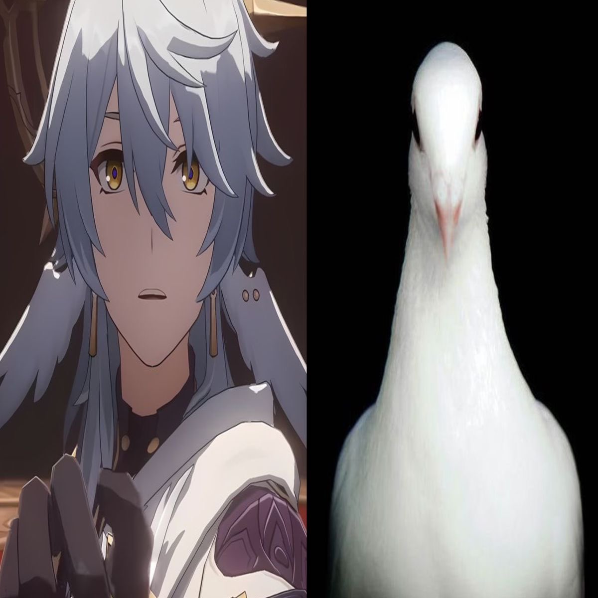 Daily Sunday🪽 tweet media