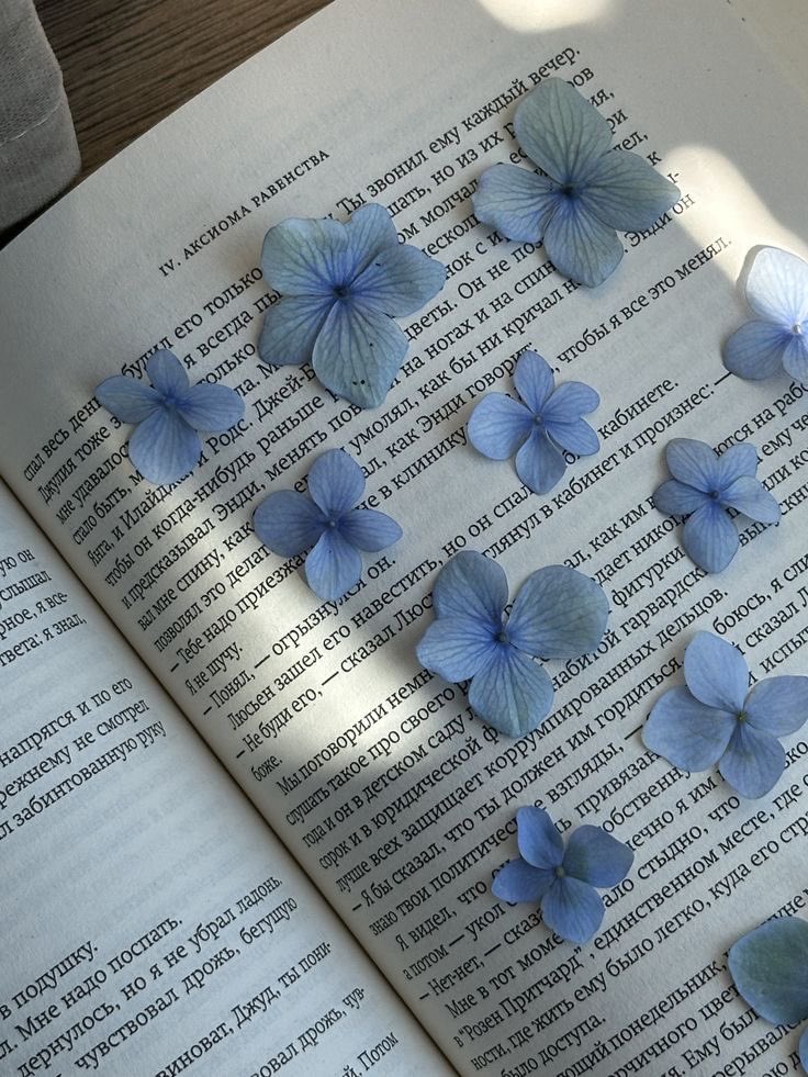 windflowez's tweet image. 𐙚  ℒ𝒾𝓋𝓇ℴ𝓈 𝓁𝒾𝒹ℴ𝓈 2026
                        - 𝘢 𝘵𝘩𝘳𝘦𝘢𝘥 🦋