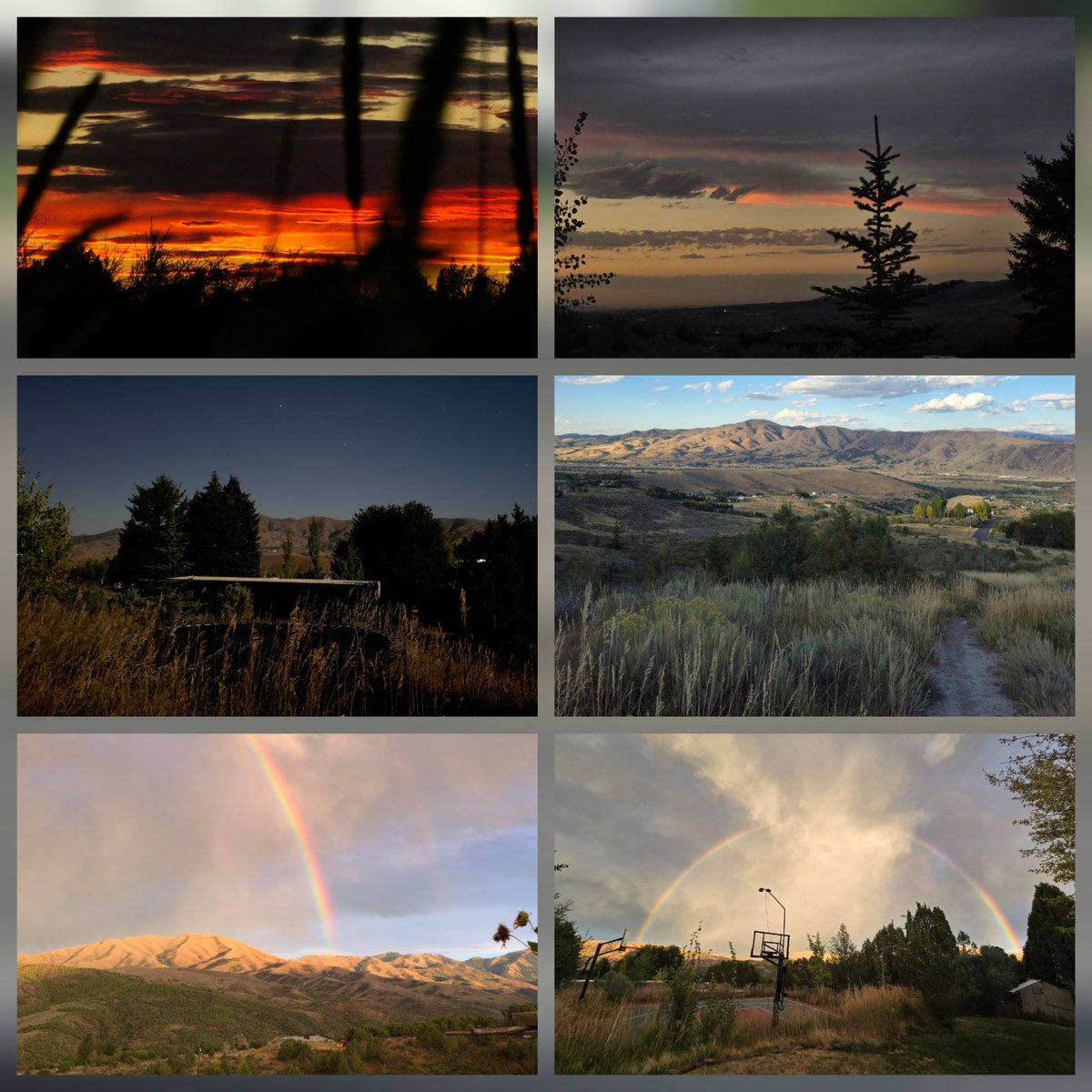 Gabe Curtis tweet media