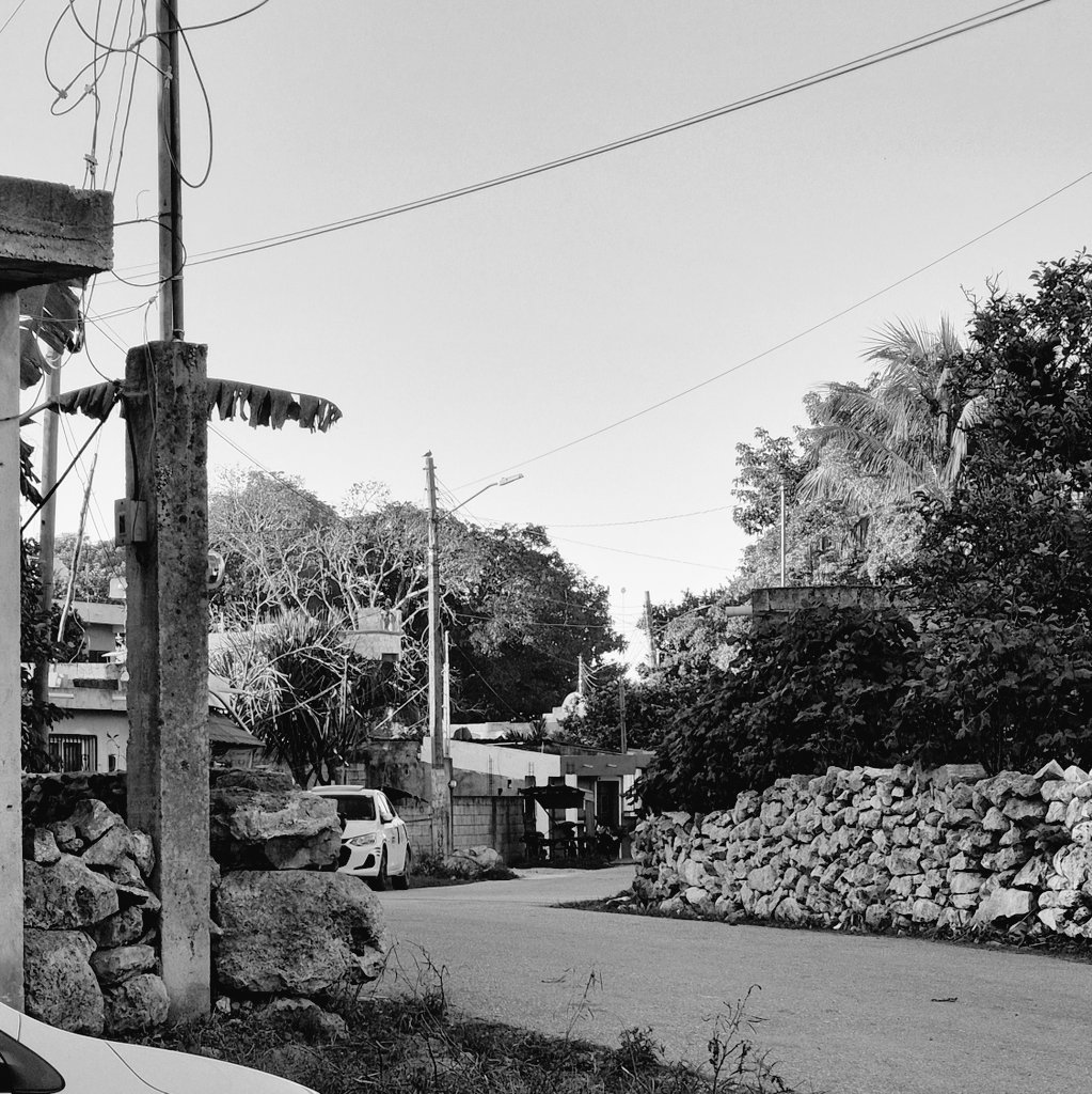 🇲🇽 01/01/2026
           🐂 Debutamos en México