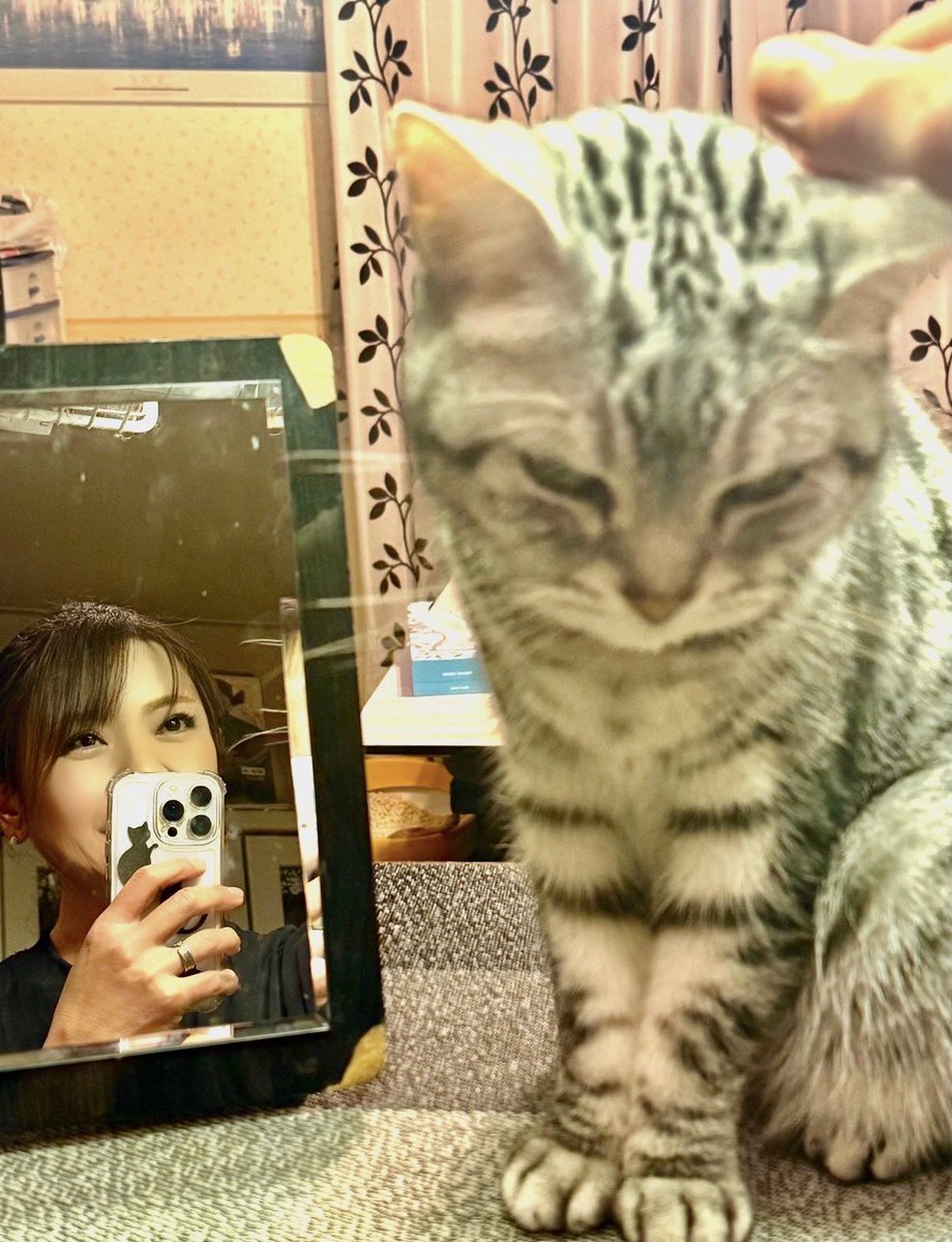 sai-pin (@saipin1965) / Posts / X