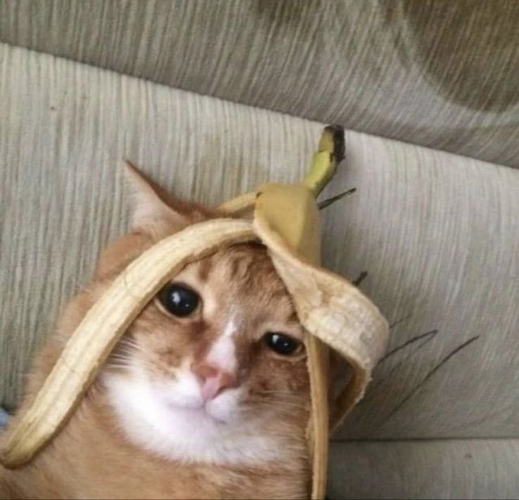 Hehe (also happy new year guys!)

#Xavier #LoveandDeepspace