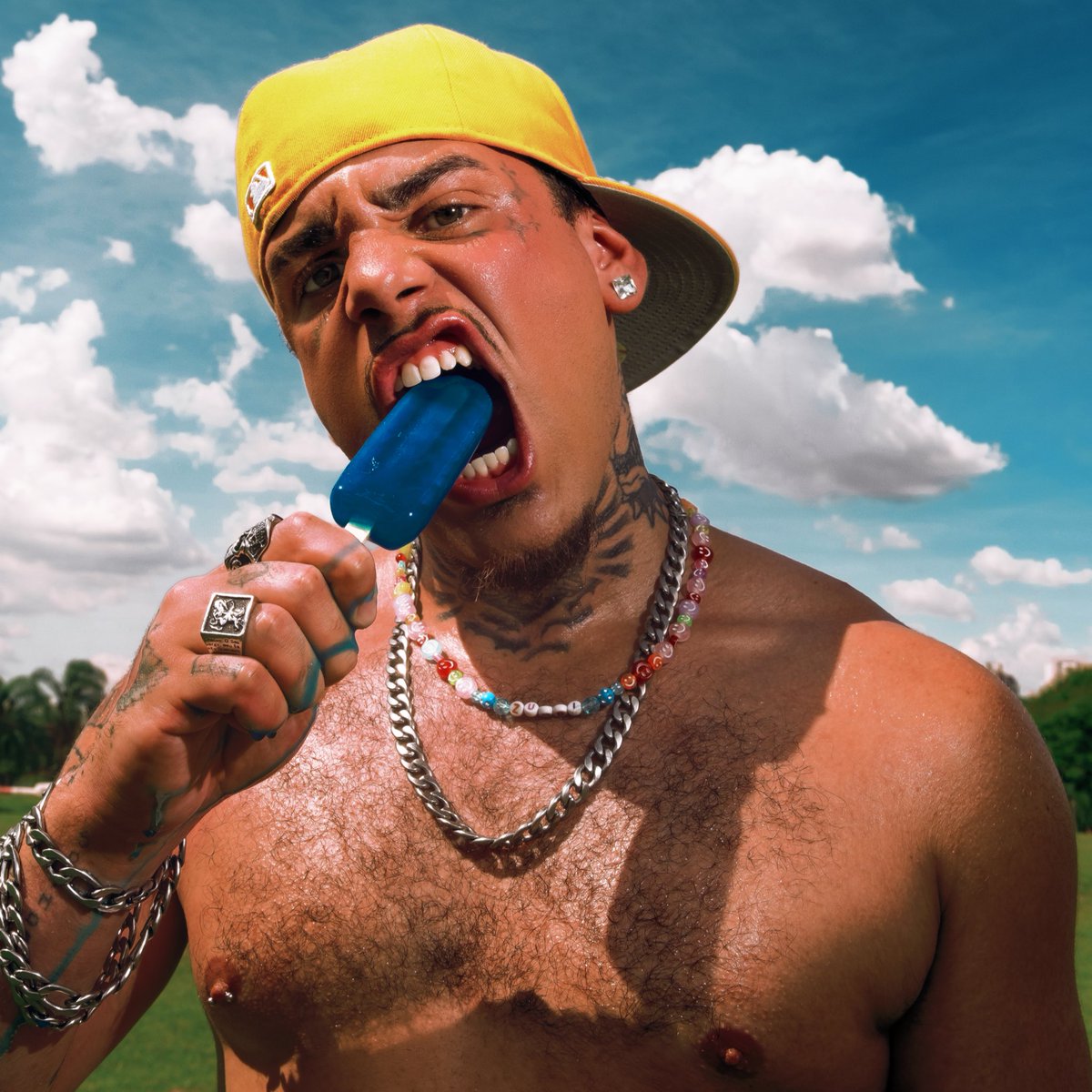 VAI TOMA MANDRAKITTY! tweet media