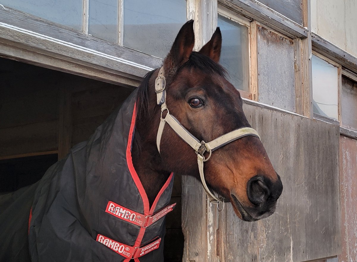 ナイスネイチャ Motor Nuclear 1/72 MNP-XH04 Nezha - Model Kit