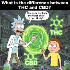 topdogged's tweet photo. #StonerMemes https://t.co/iGqqCkXGAd