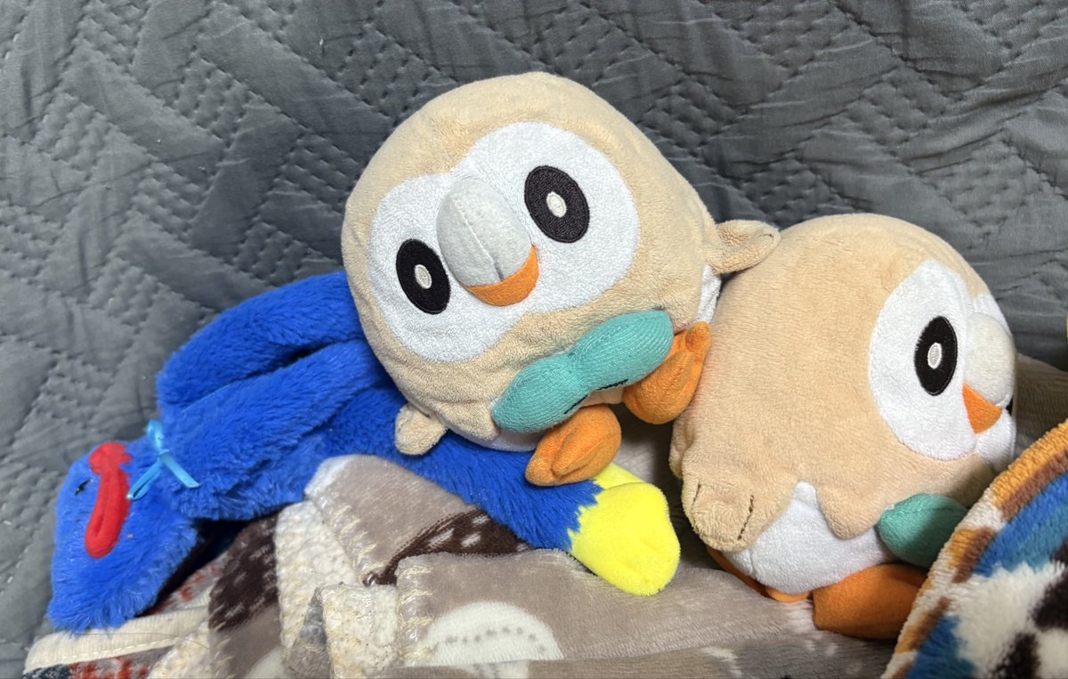 あけましておめでとうございます
