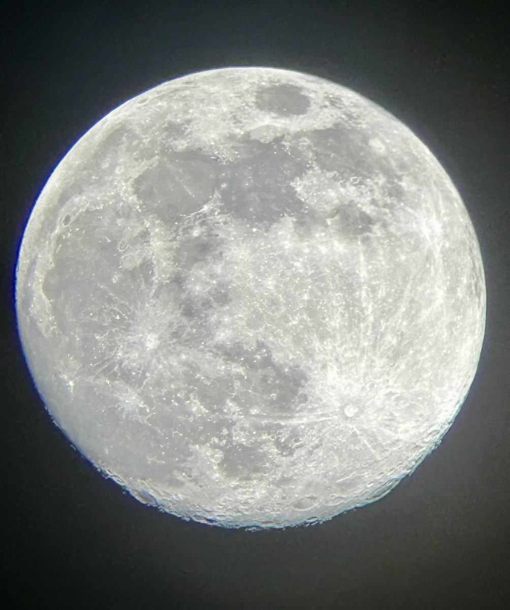 Ginger.Lee tweet media