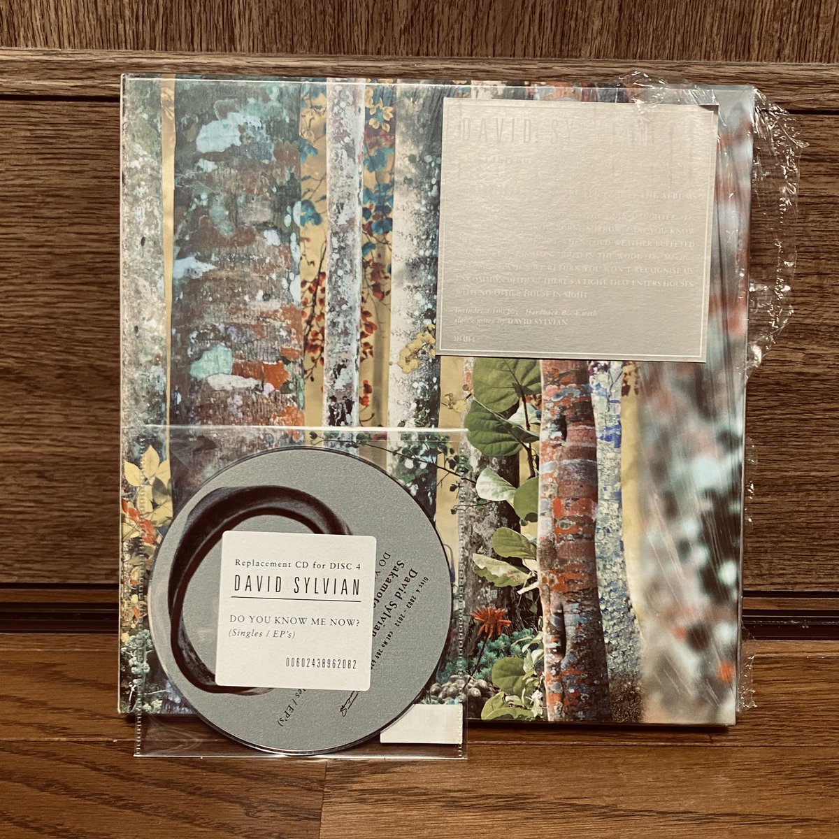 Do You Know Me Now? (修正盤付) David Sylvian David Sylvian - Do