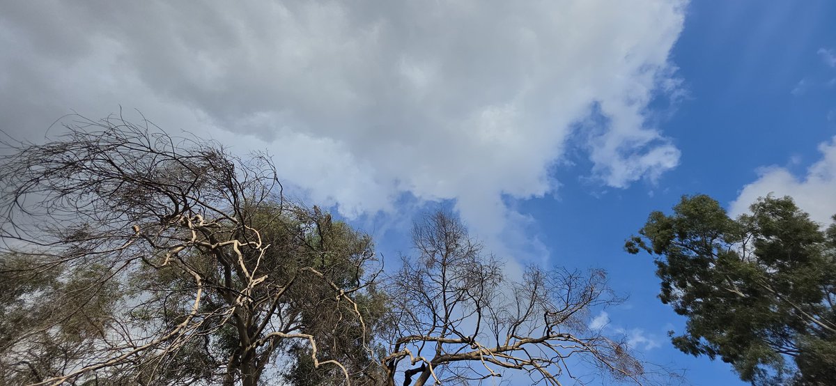 Edgar McGregor tweet media