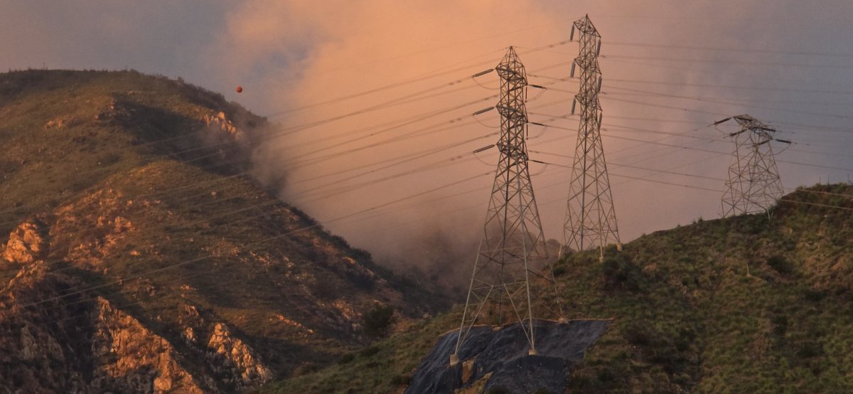 Edgar McGregor tweet media