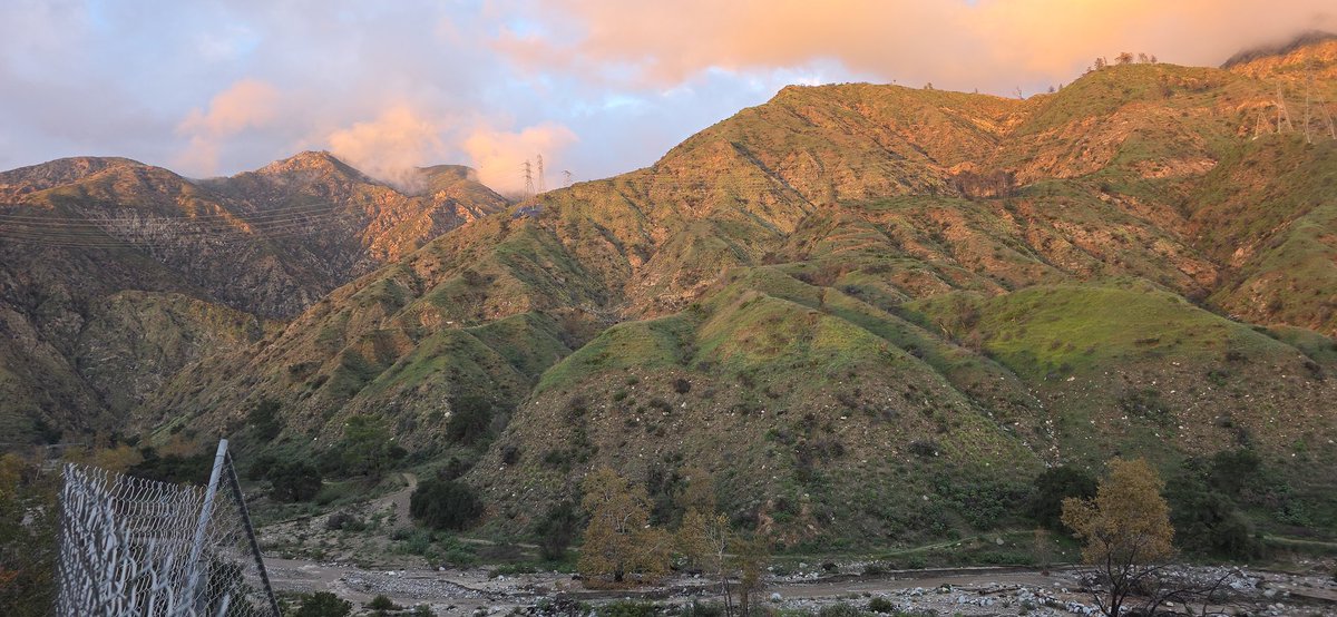 Edgar McGregor tweet media